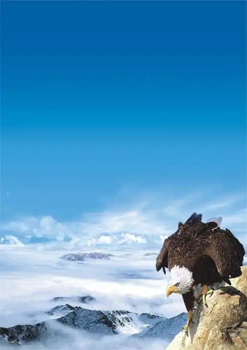 雲邸国际设计